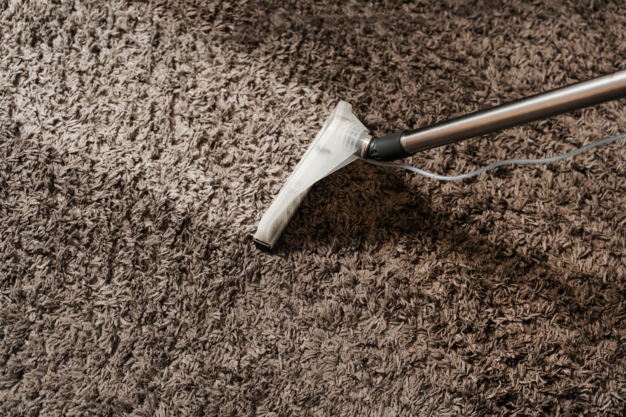 carpet cleaning 1